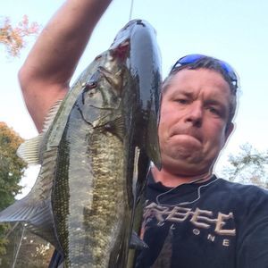 Meet your Posher, Nicky